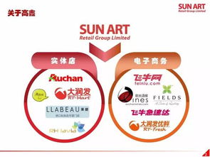 高鑫零售半年营收超540亿，日用百货销售驱动增长，全渠道转型见成效